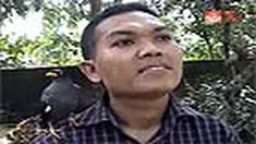 liputan6