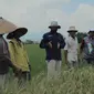 Pupuk Indonesia melakukan edukasi ke petani (dok: Pupuk Indonesia)