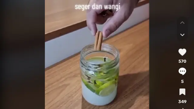 Bukan Obat Serangga, Begini Trik Ampuh Basmi Nyamuk dan Lalat dengan 1 Jenis Minyak