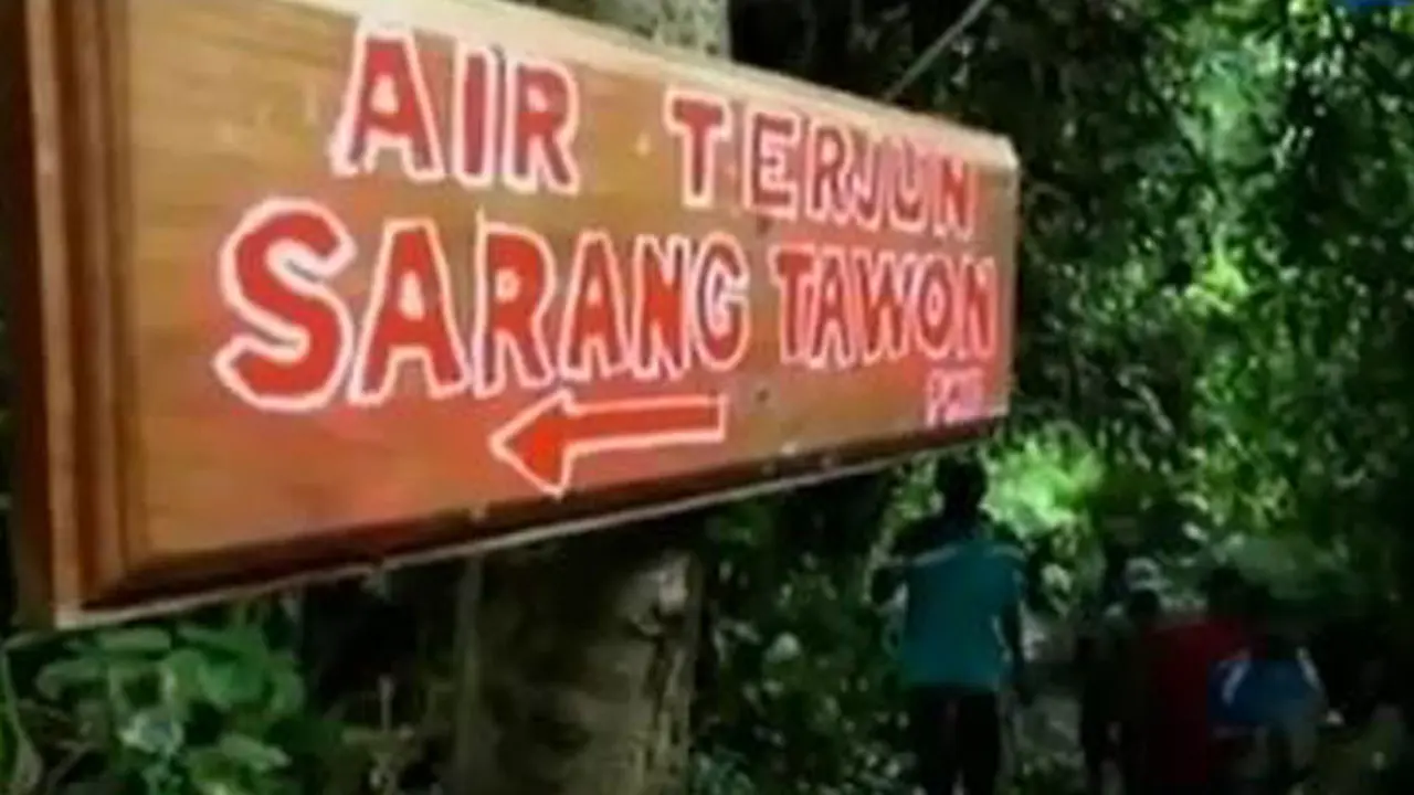  Air Tejurn Sarang Tawon