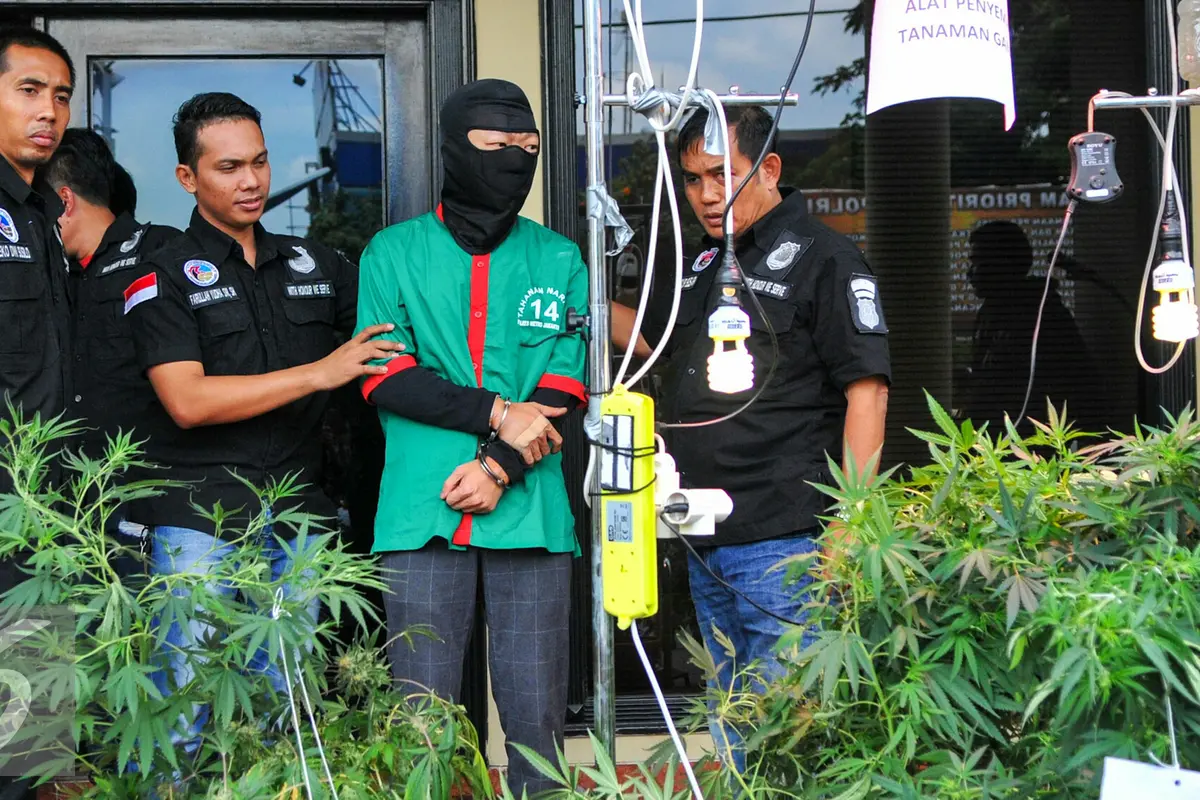 20160427-Kebun-Ganja-Jakarta-Yoppy-Renato