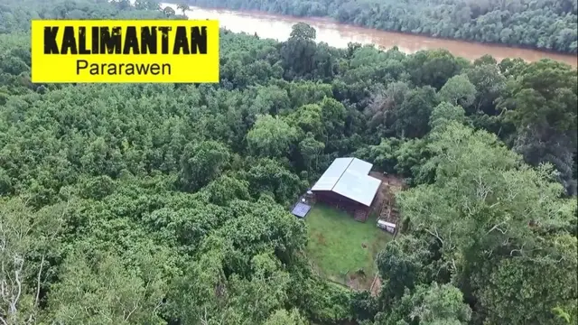 8 Potret Rumah Andrew Kalaweit di Tengah Hutan Kalimantan, Dulu Bekas Peternakan