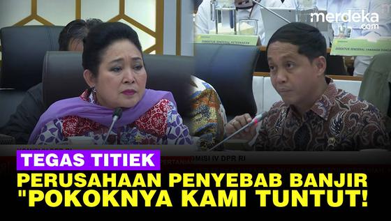 Keras Titiek Soeharto Ngegas Desak Menhut Raja Juli Tuntut ke Perusahaan Penyebab Banjir