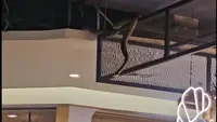Viral Ular Menggantung di Mall, Bikin Pengunjung Panik Ketakutan
