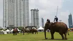 Para pemain Polo menunggang gajah saat bermain dalam turnamen Elephant Polo King's Cup di Bangkok, Thailand (8/3). Turnamen ini digelar bertujuan mengumpulkan dana untuk kehidupan populasi gajah liar. (AP Photo / Sakchai Lalit)