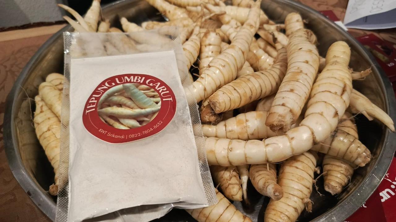 Dari Ampas Hingga Patinya, KWT Srikandi Banyuasin Olah Umbi Garut Jadi Makanan Bergizi