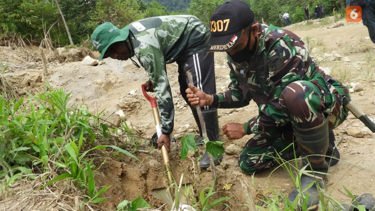 penutupan lubang dengan tanaman di eks PETI Dongi-Dongi