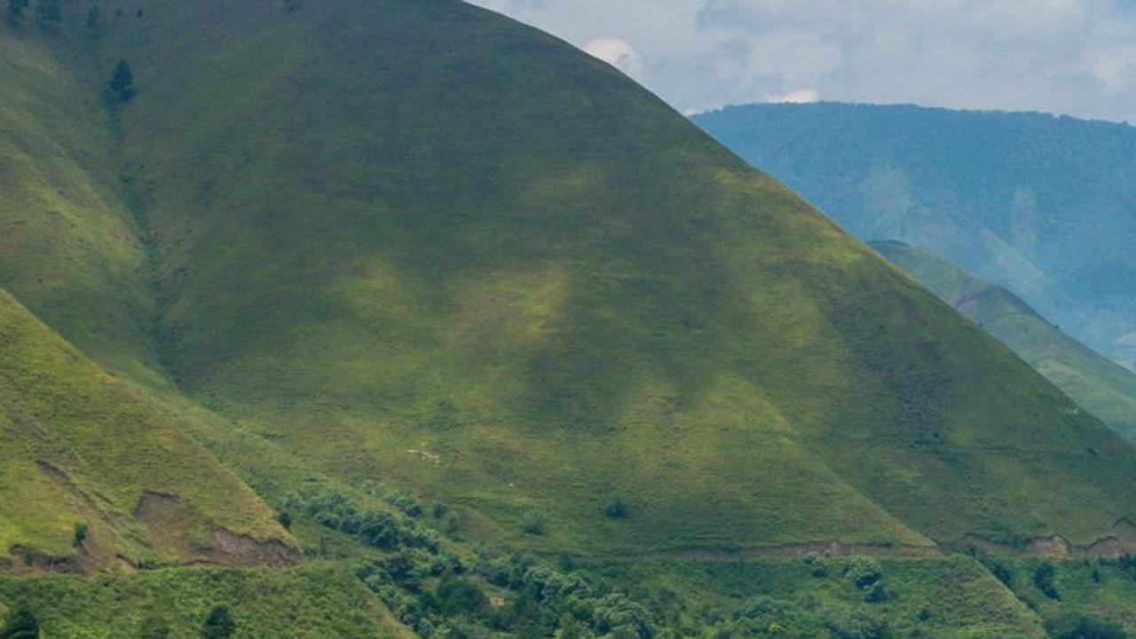 Keragaman Flora dan Fauna
