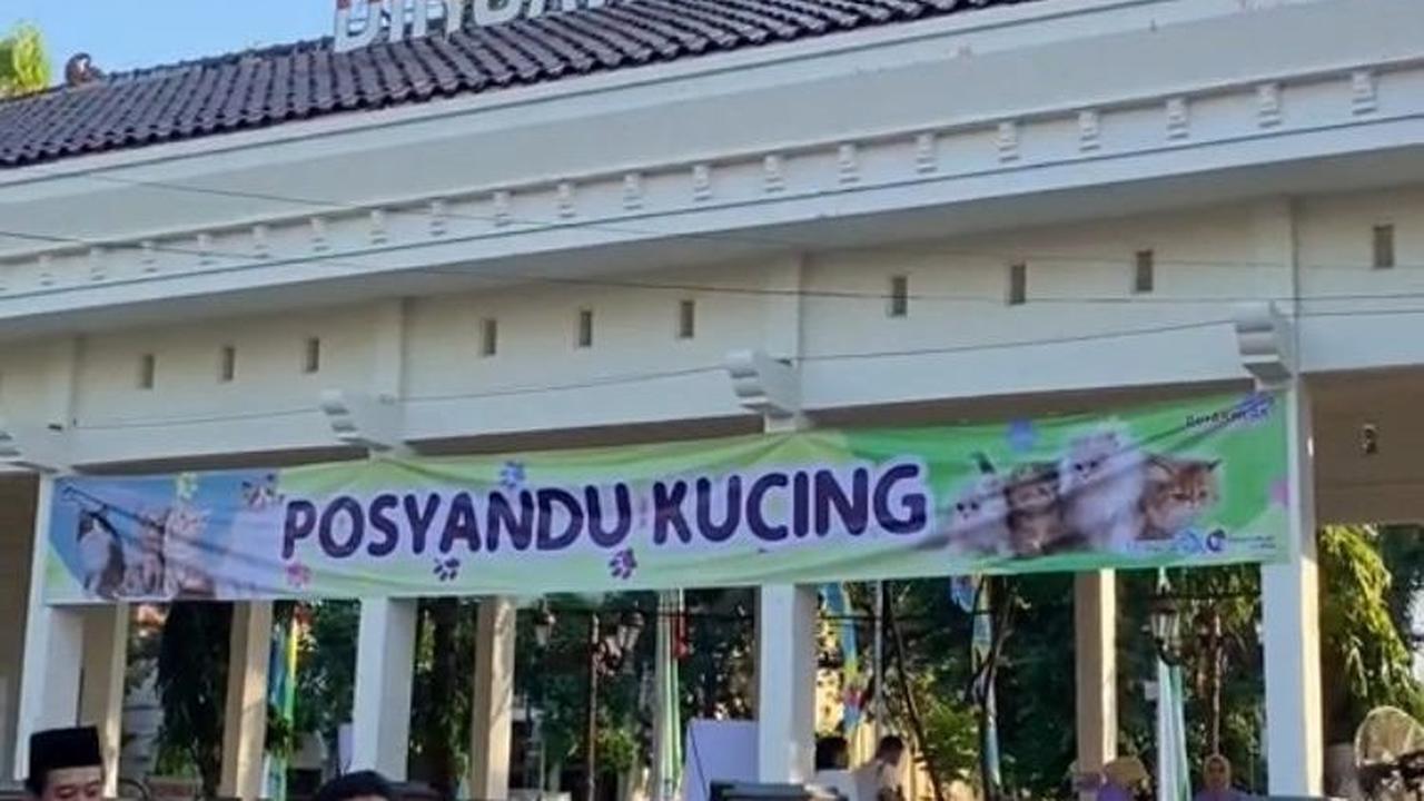 Inilah potret posyandu kucing yang diadakan di Alun-Alun Lamongan, Jawa Timur.