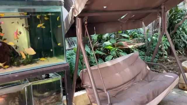 Rumah Orangtua Baim Wong