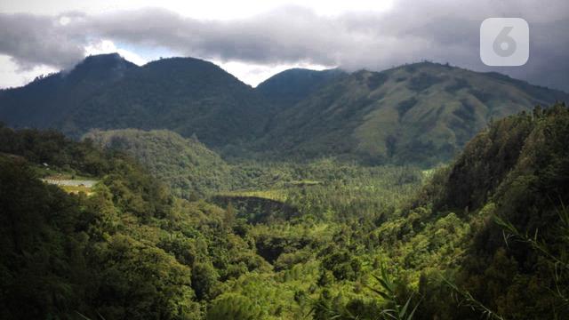 Gambar Pemandangan Gunung  Dan Sawah Asli