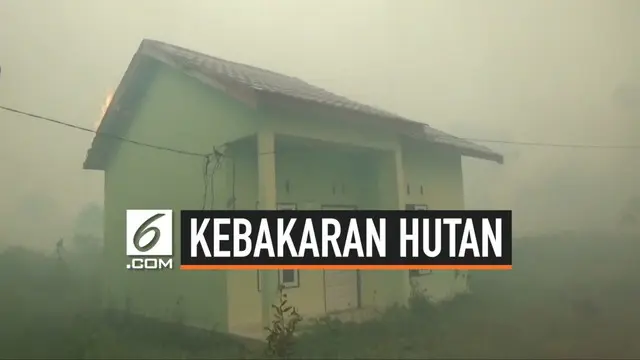 Kebakaran Lahan dan Hutan di Kota Sampit meluas ke permukiman warga. Warga perumahan panik dan berusaha menyelamatkan diri. Petugas berusaha memadamkan api dan mengevakuasi warga.