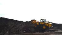 Ilustrasi batu bara Bengkulu (Liputan6.com / Yuliardi Hardjo Putro)