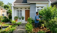 Cara Menata Taman Depan Rumah agar Tidak Mengundang Nyamuk, Cegah DBD