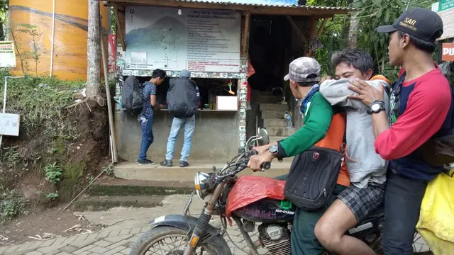 Kisah Sengatan Lebah Beracun di Gunung Penanggungan