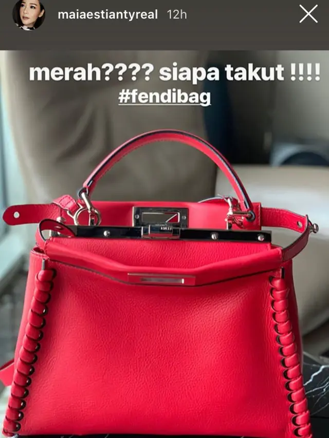 Tas Maia Estianty