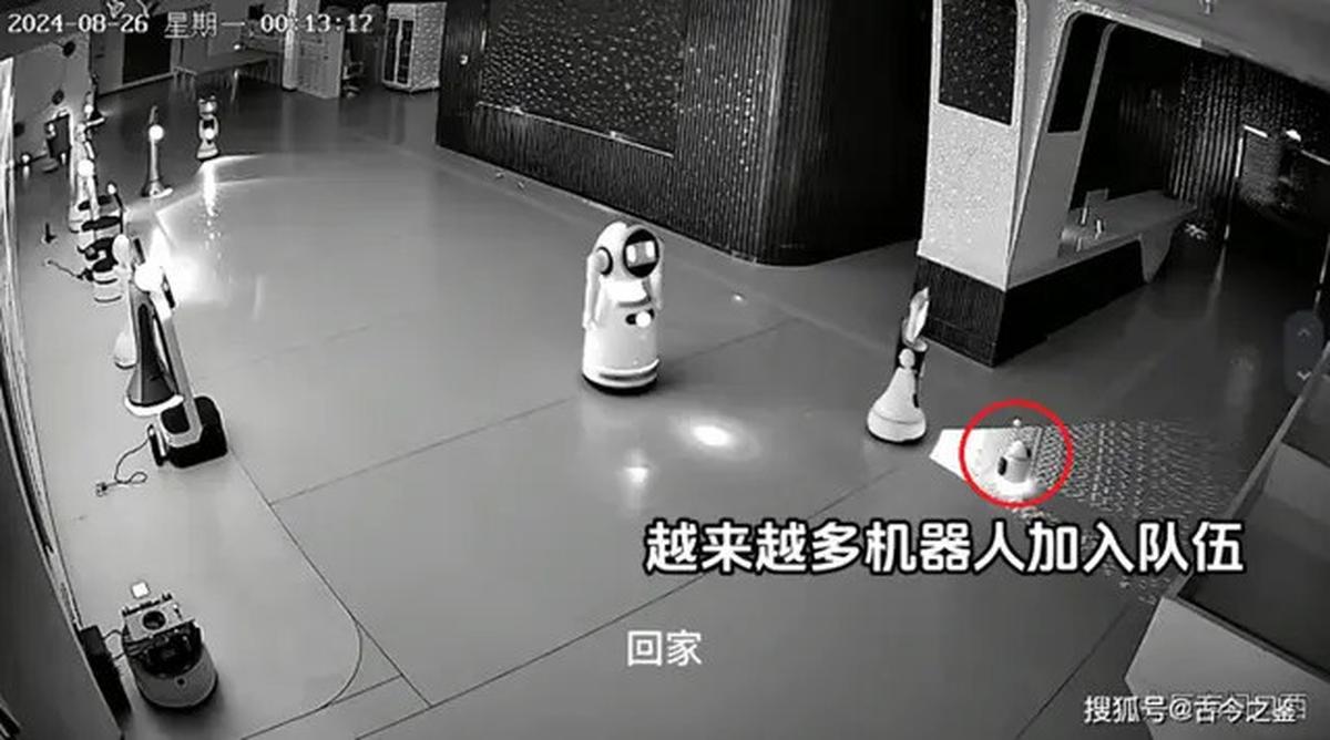 Viral Kejadian Aneh 12 Robot 'Diculik' oleh Robot Lainnya, Faktanya Mengejutkan