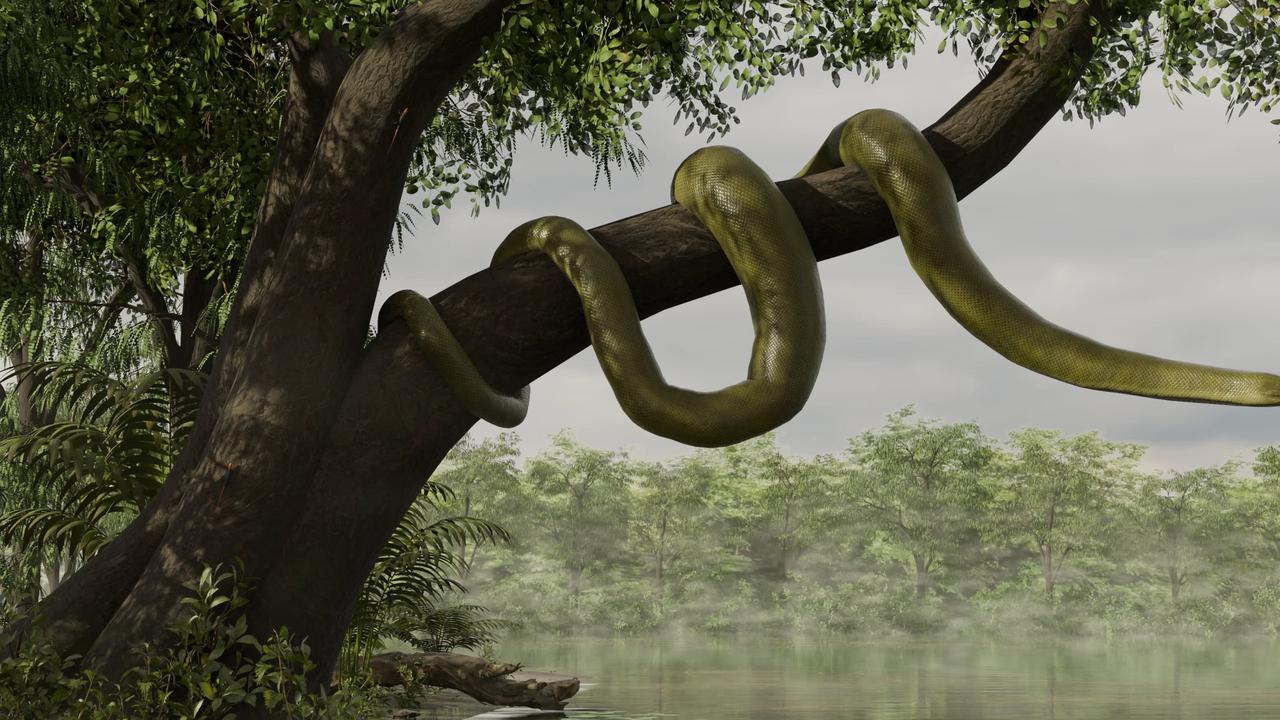 Fosil Ular Terpanjang di Dunia Ditemukan di India, Panjangnya 15 Meter Saingan Titanoboa