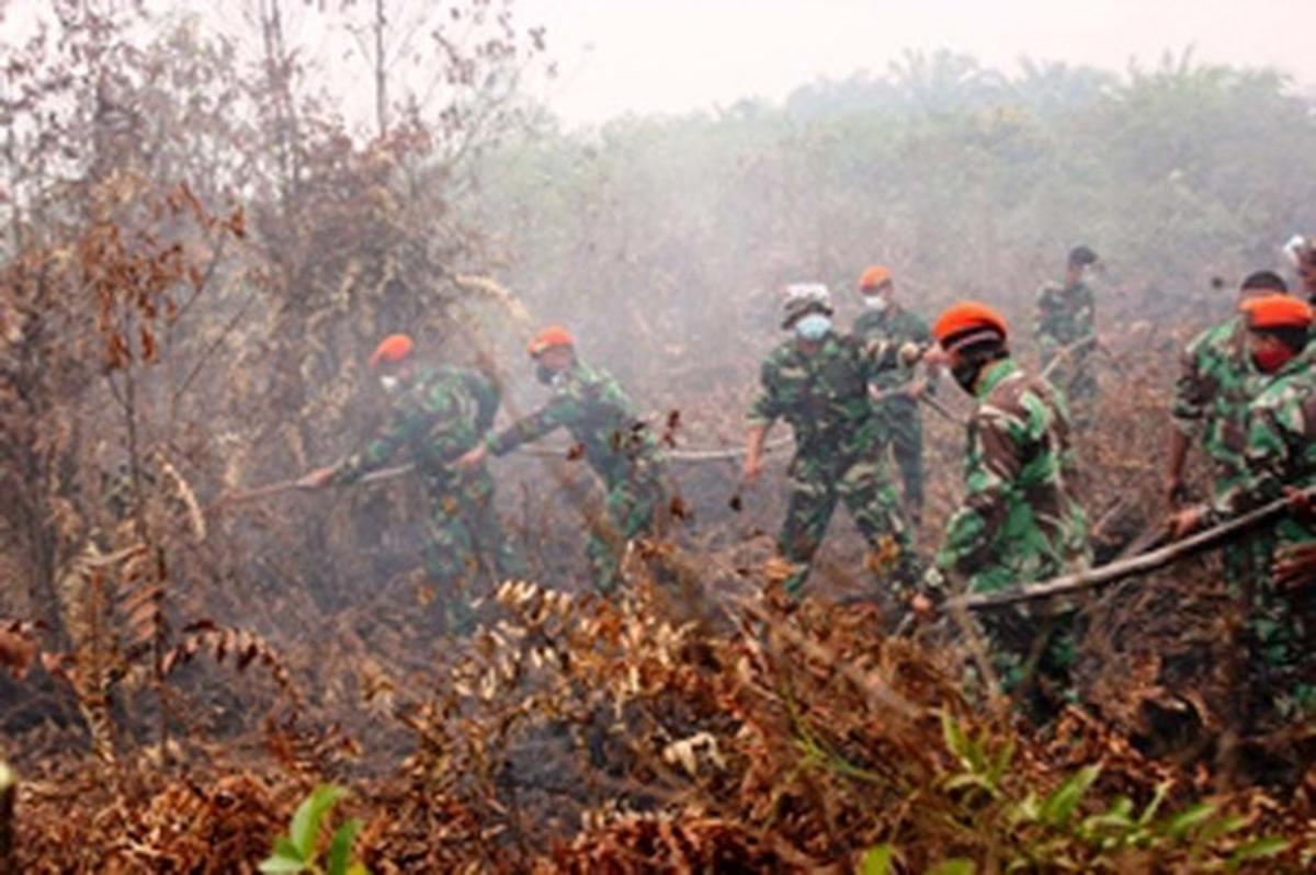 Aksi Paskhas atasi kabut asap di Pekanbaru