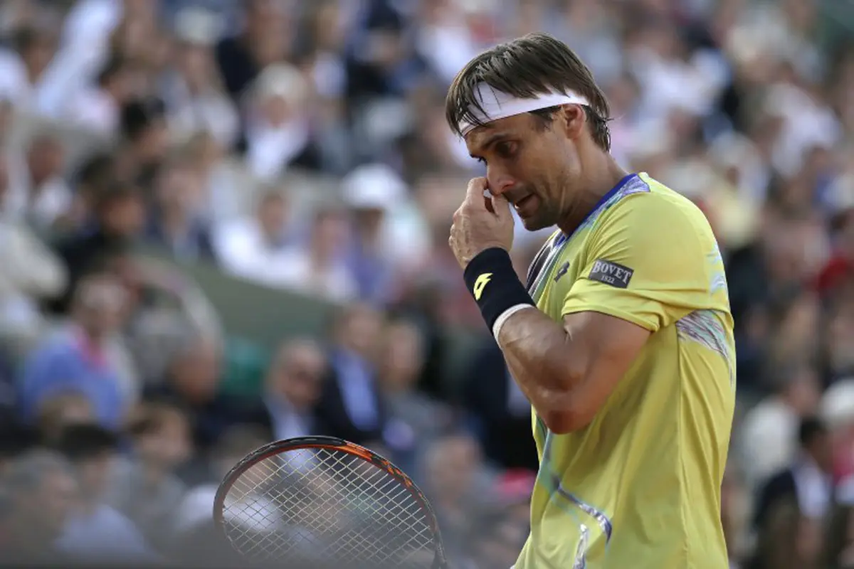 David Ferrer