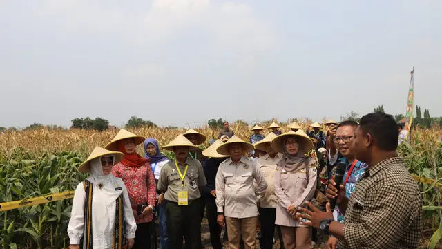 Tarik Minat Investor Pertanian, Kementan Tingkatkan Kemudahan Berusaha