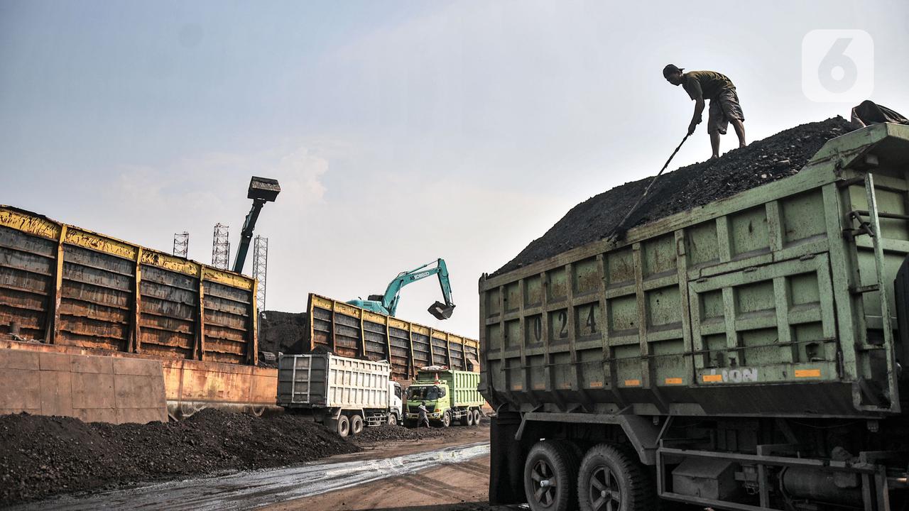 Geliat Bongkar Muat Batu Bara di Tengah Larangan Ekspor