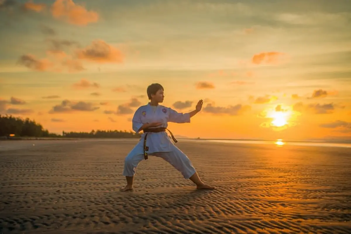 Ilustrasi Pencak Silat, Bela Diri