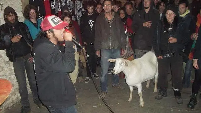 9 Aksi Kambing Bertingkah Layaknya Manusia Ini Nyeleneh Banget