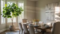 Tanaman yang Cocok Untuk Ruang Makan, Bisa Usir Lalat dan Bantu Jaga Kualitas Udara