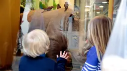 Dua orang anak memperhatikan cokelat berbentuk badak yang ditampilkan di toko cokelat di Nogent-sur-Marne, Prancis (8/4). Cokelat ini dipersembahkan untuk badak yang telah dibunuh di kebun binatang Thoiry. (AFP/Geoffroy Van Der Hasselt)