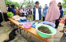 Otorita IKN Pastikan Manfaat Pembangunan IKN Terasa oleh Masyarakat Lokal