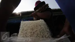 Dua pekerja memasukkan beras ke dalam karung di Pasar Induk Cipinang, Jakarta, Selasa (5/1/2016). Pasokan dan harga beras di Pasar Induk Cipinang pada awal 2016 masih stabil. Stok beras di gudang saat ini sekitar 40 ribu ton. (Liputan6.com/Angga Yuniar)