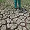 Bappenas Perluas Sumber Pembiayaan demi Antisipasi Dampak El Nino