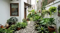 6 Inspirasi Taman Hijau di Sela Rumah, Lahan Sempit Jadi Lebih Asri
