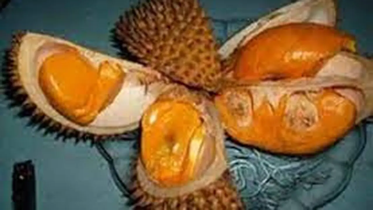 Buah Lai