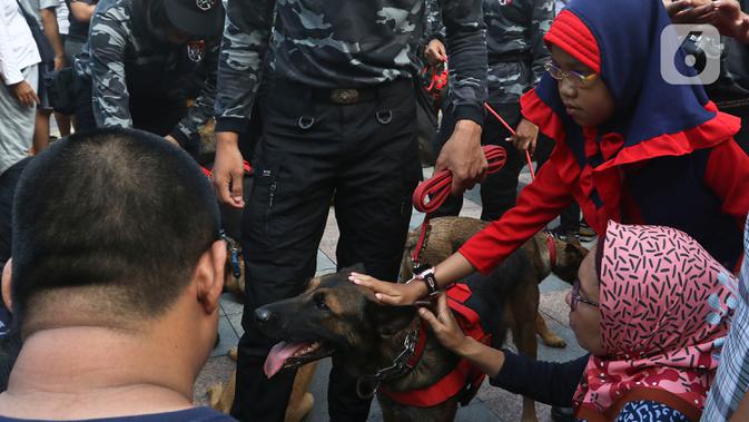 Seorang pengunjung memegang anjing Detasemen pelacak kriminal umum dari unit K-9 Mabes Polri disela simulasi proteksi saat car free day di kawasan Bundaran HI, Jakarta, Minggu (26/1/2020). Acara tersebut digelar untuk mensosialisasikan tugas unit K9 kepada masyarakat. (Liputan6.com/Johan Tallo)