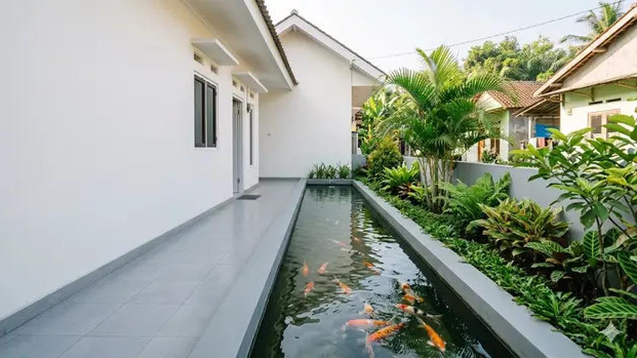 5 Inspirasi Model Kolam Ikan Memanjang di Samping Rumah Subsidi yang Menenangkan