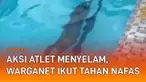 Aksi atlet menyelam bebas sukses buat warganet kagum. Terekam ia tengah berlatih menyelam di kolam renang dan diawasi rekan-rekannya. Selama berenang 125 meter, tak sekalipun ia naik ke permukaan untuk bernafas.