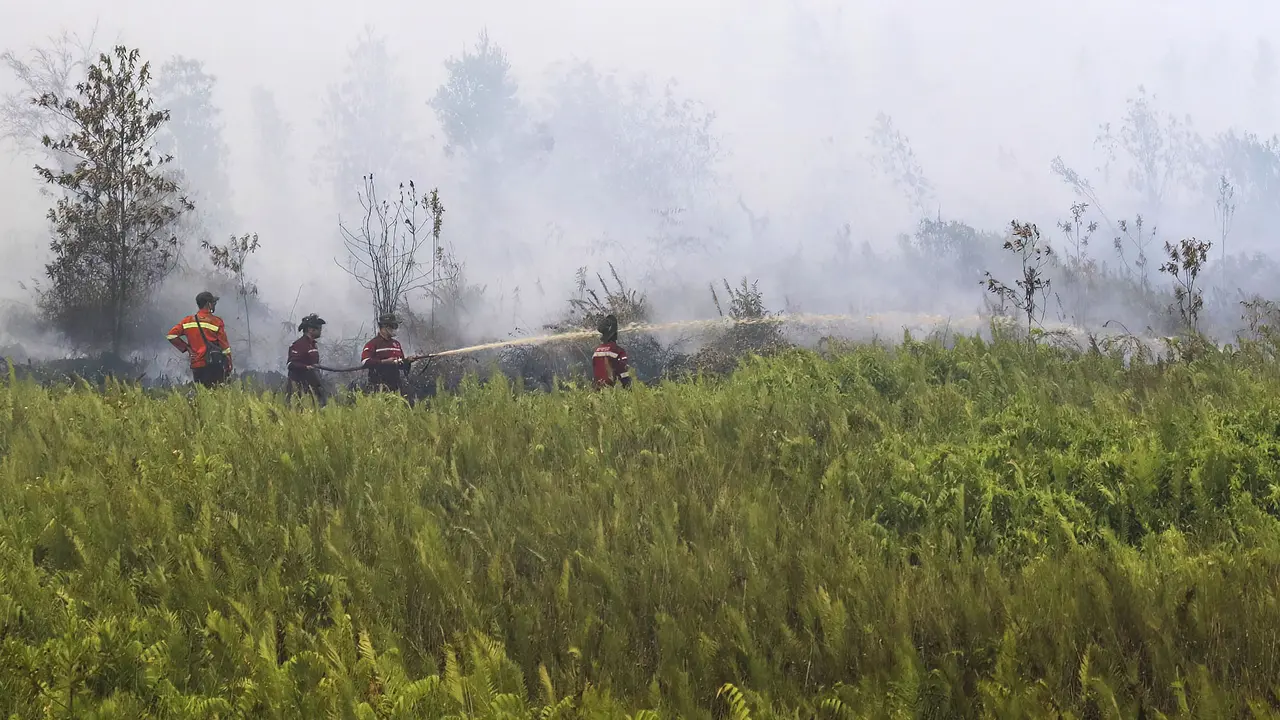 Helikopter Diterjunkan Atasi Kebakaran Lahan Gambut di Pulau Pisau