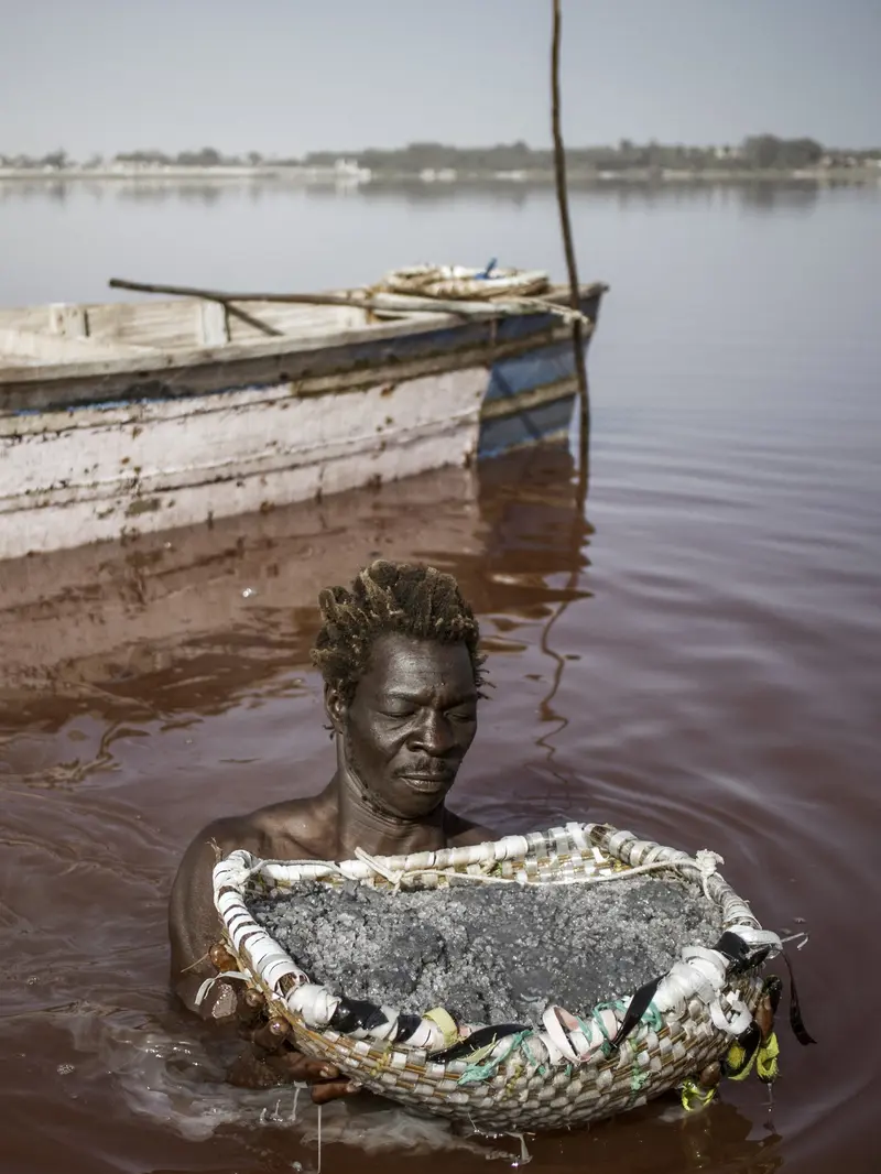 Memanen garam di Danau Retba atau danau merah muda di Senegal. (Marco Longari/AFP)