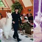 Di Jepang ditawarkan paket pernikahan yang menampilkan kehadiran Alpaka, hewan yang mirip dengan domba Llama sebagai saksi pernikahan. 