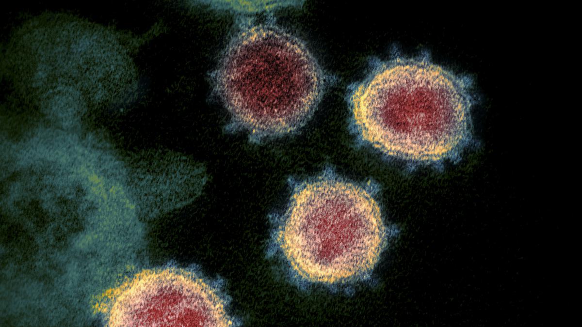 Cek Fakta: Tidak Benar Pasien di RS Akibat Influenza A Diisolasi Seperti Covid-19