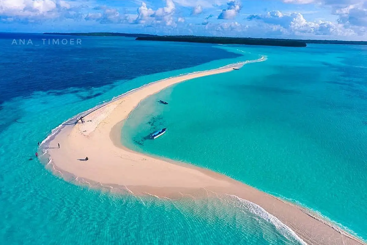 [Bintang] Maluku