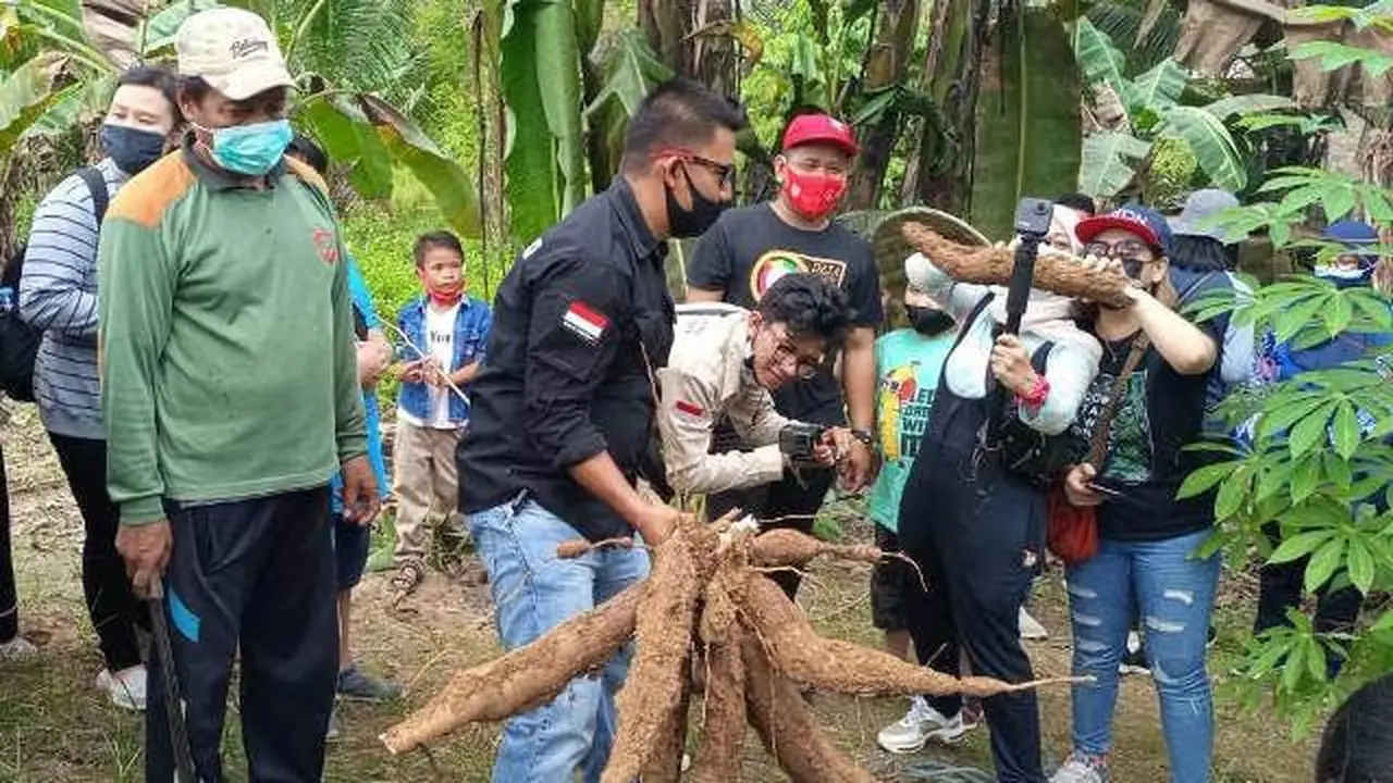 Intip Keunikan Singkong Selingkuh dari Desa Jembayan Tengah Kukar