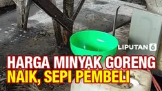THUMBNAIL minyak
