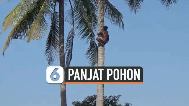 vertikal panjat pohon