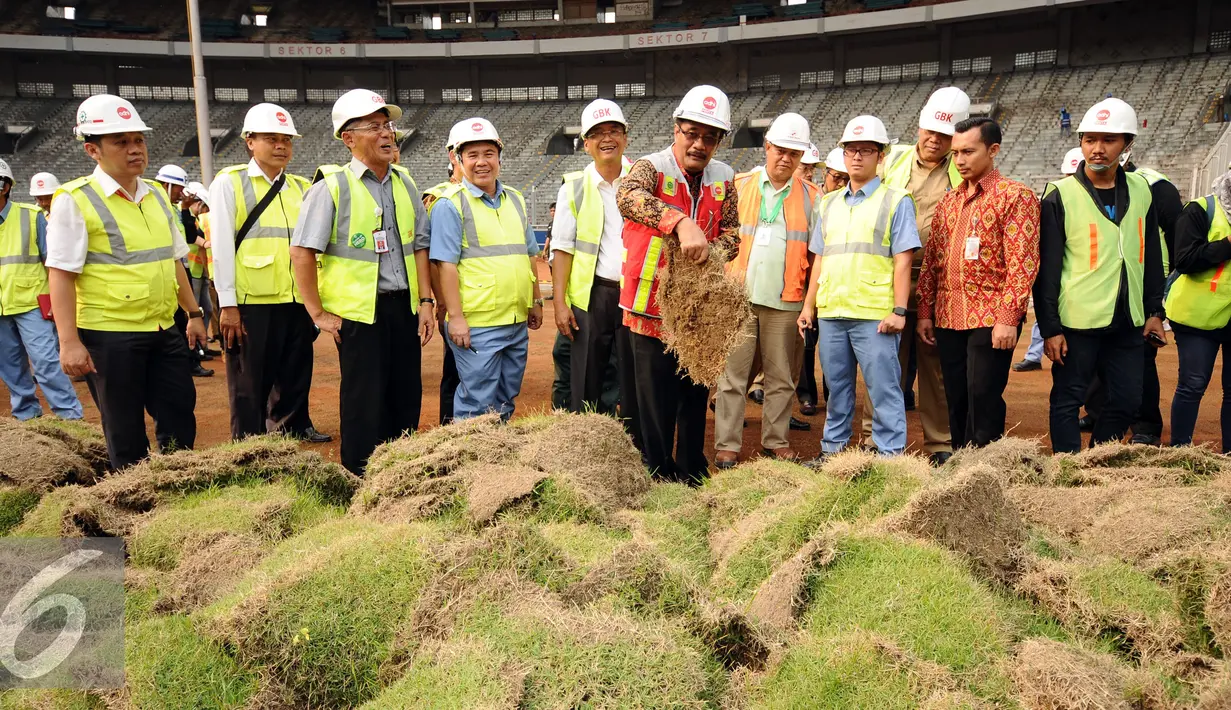 Wakil Gubernur DKI Jakarta, Djarot Saiful Hidayat memegang rumput lapangan saat meninjau perkembangan renovasi Stadion GBK Jakarta, Selasa (18/10). Pengerjaan renovasi Stadion GBK ditargetkan selesai Oktober 2017. (Liputan6.com/Helmi Fithriansyah)