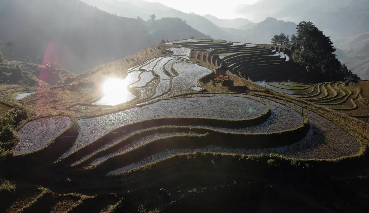 Foto udara ini menunjukkan sawah terasering di provinsi Yen Bai, Vietnam pada 28 November 2021. Terletak 300 km barat laut Hanoi, distrik Mu Cang Chai di Provinsi Yen Bai utara, sawah terasering telah menjadi destinasi wisata populer dengan turis asing dan lokal sebelum pandemi. (Nhac NGUYEN / AFP)
