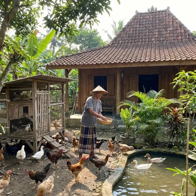 Beternak ayam dan bebek di rumah (Gemini AI)