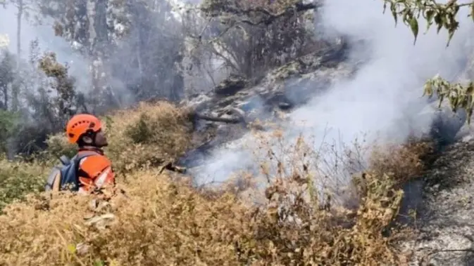 Gunung Lawu Kebakaran, Petugas Buat Sekat Api